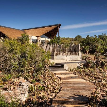 Lalibela Game Reserve - Kichaka Lodge Paterson Dış mekan fotoğraf