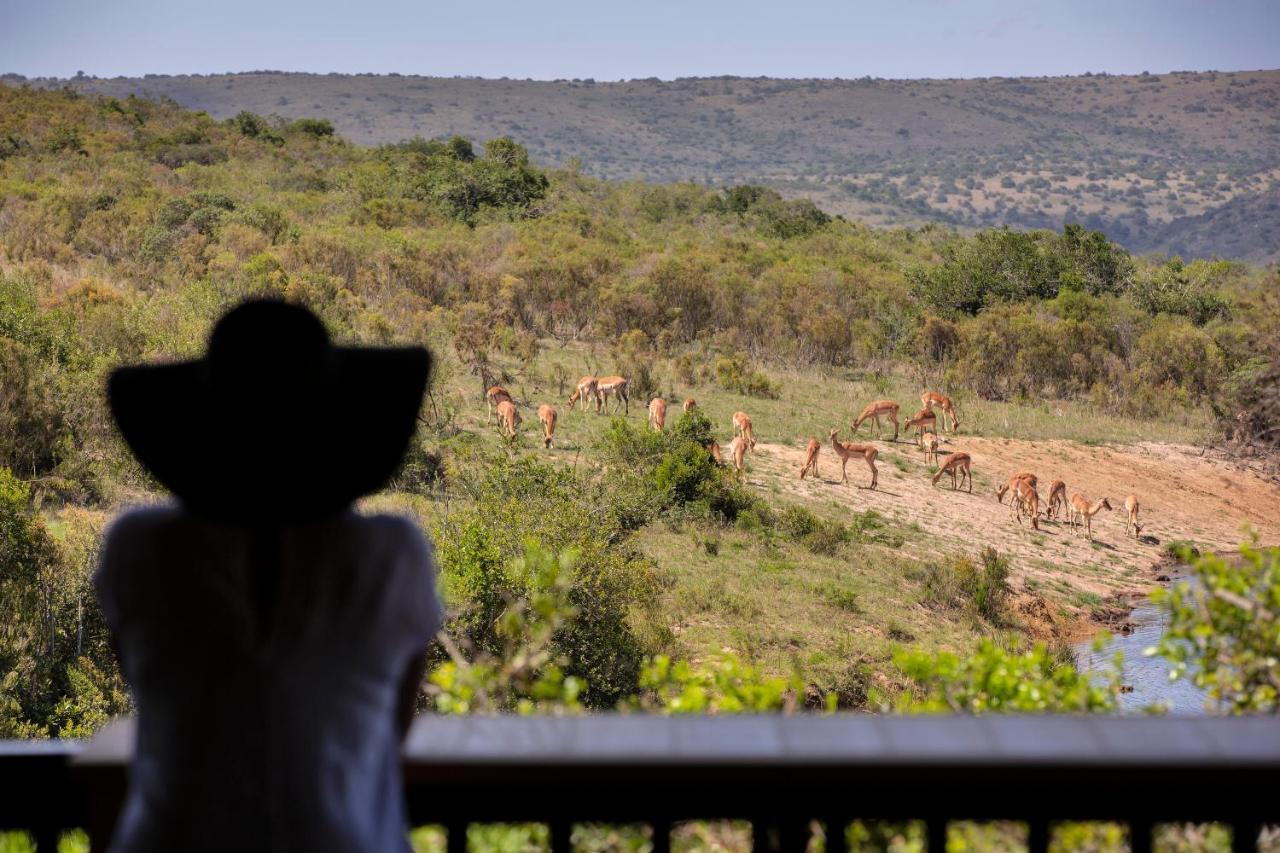 Lalibela Game Reserve - Kichaka Lodge Paterson Dış mekan fotoğraf