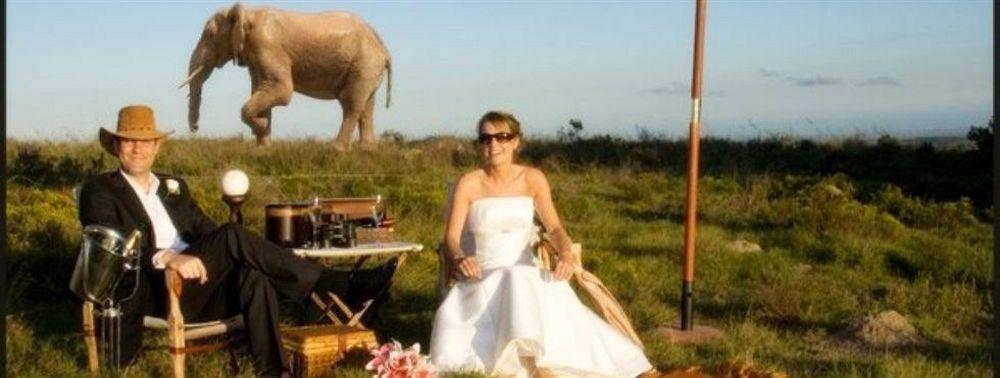 Lalibela Game Reserve - Kichaka Lodge Paterson Dış mekan fotoğraf