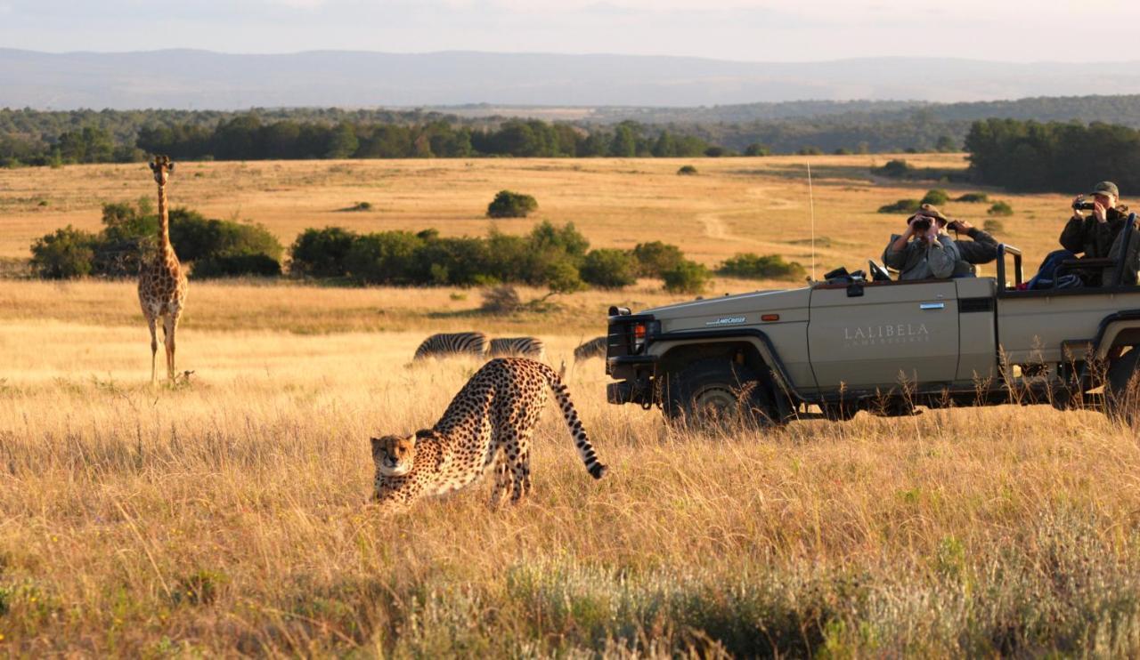 Lalibela Game Reserve - Kichaka Lodge Paterson Dış mekan fotoğraf